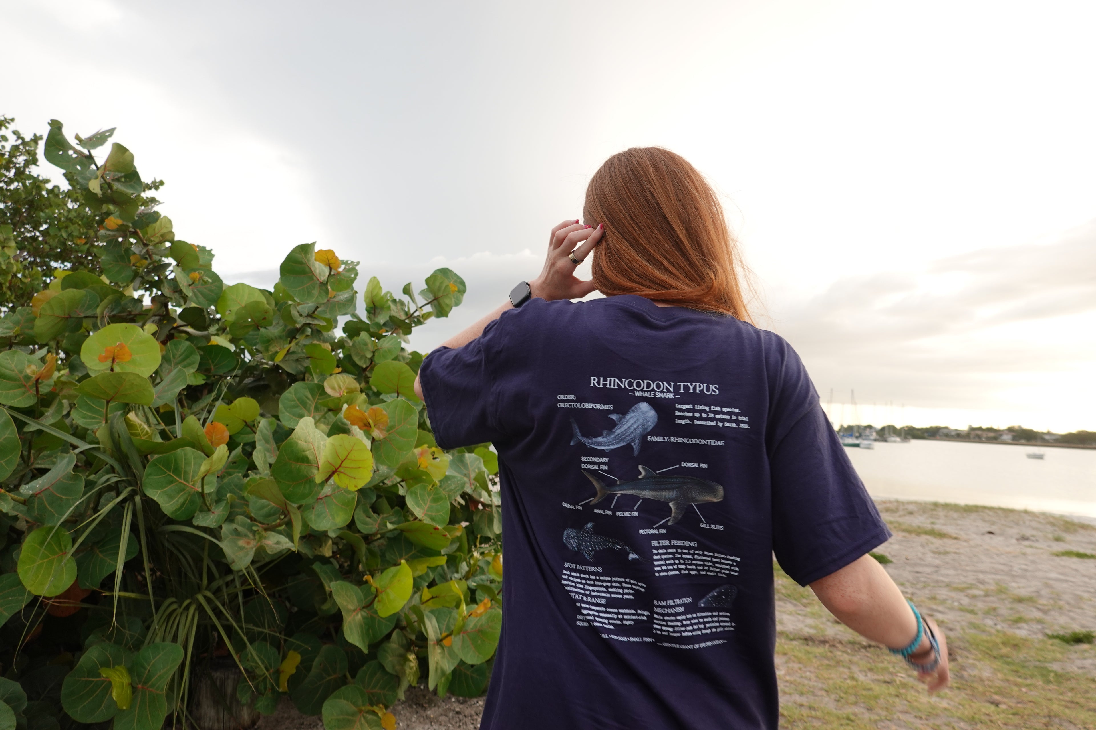Whale Shark T-shirt