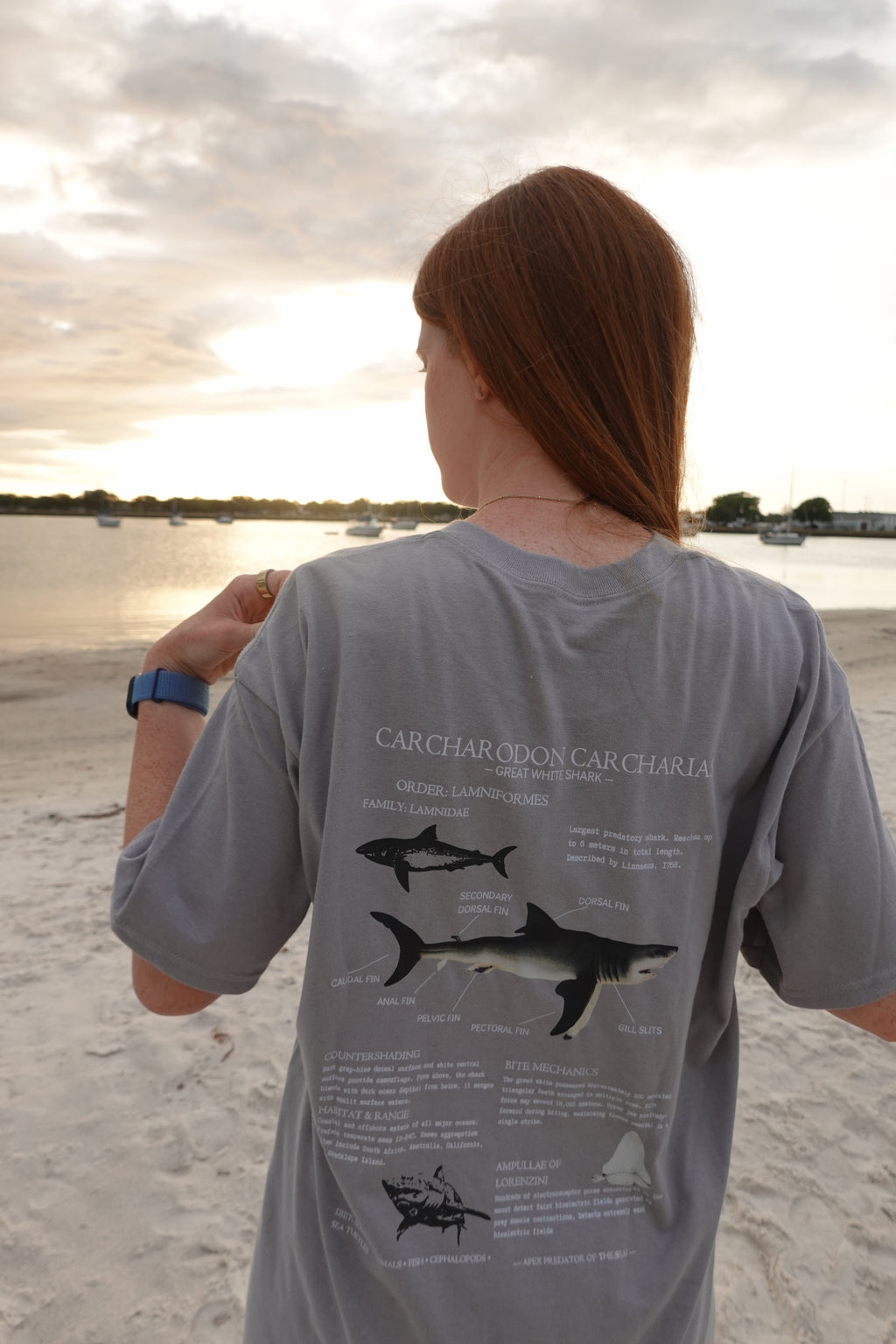 Great White Shark T-shirt